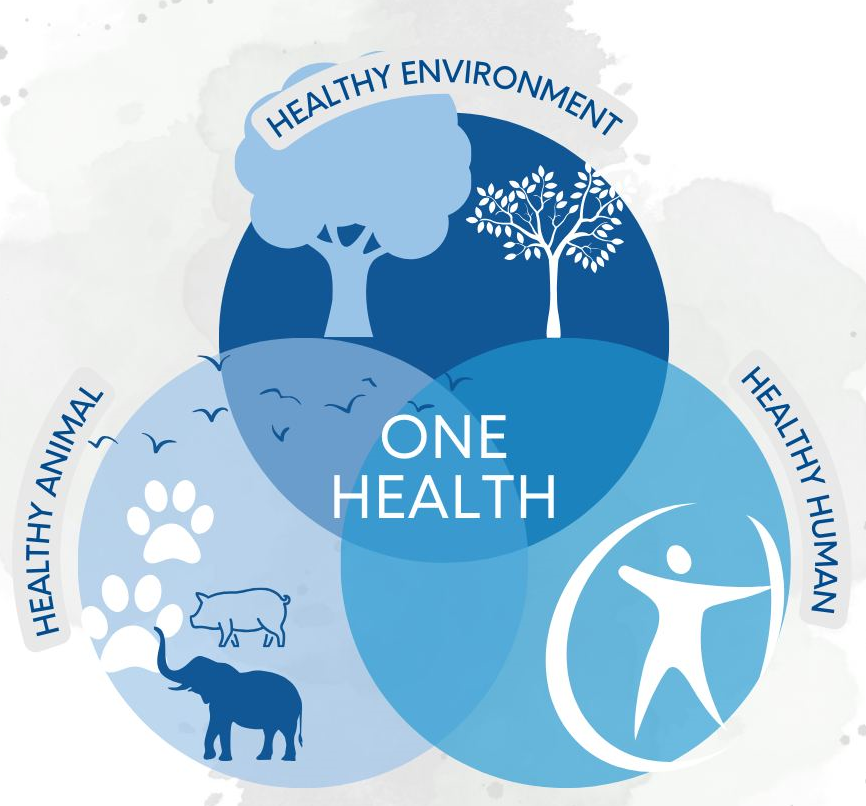 One Health Concept